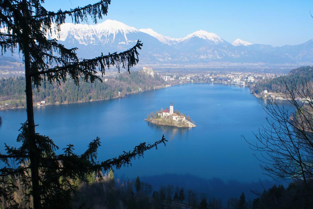 Penzion Zaka Bled Exterior foto